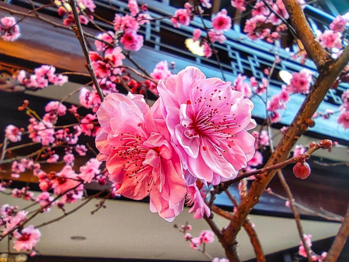 Doof Resort Hotel Lijiang (Yunnan) Exterior photo